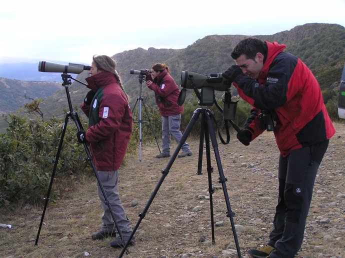 Actividad de observación de aves dentro del programa de voluntariado de la Funda