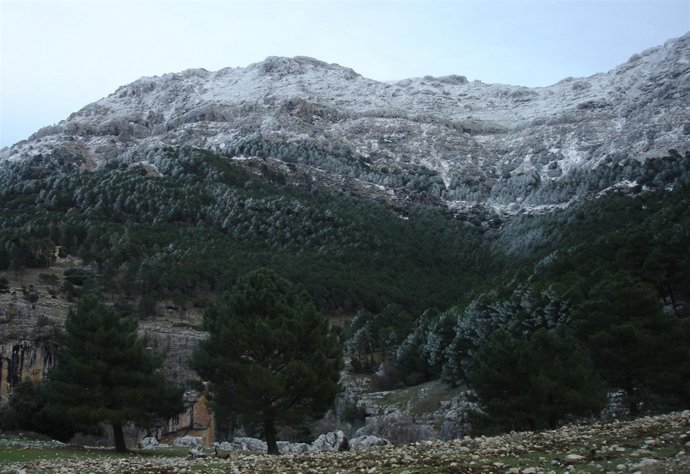 Imagen del Parque de Cazorla