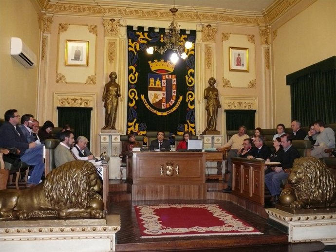Imagen del pleno