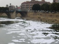 Los Verdes de Murcia y de la comarca de la Vega Baja denuncian el vertido contaminante al Segura