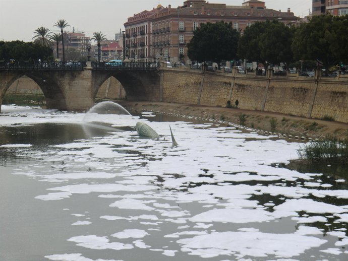 Vertido río Segura