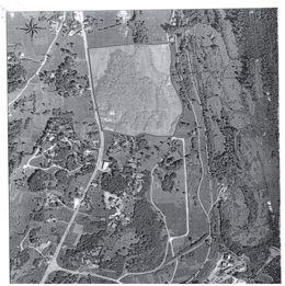 Yacimiento Cueto de Morín