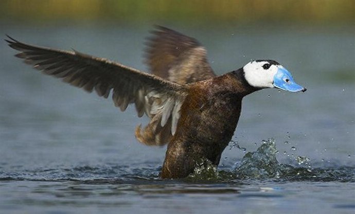 010211 NOTA PRENSA Día Mundial Humedales