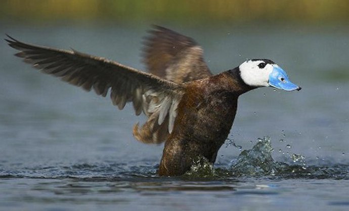 010211 NOTA PRENSA Día Mundial Humedales