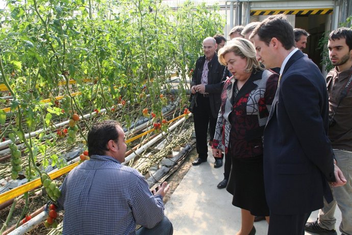 La consejera de Agricultura y Pesca de la Junta de Andalucía, Clara Aguilera, en