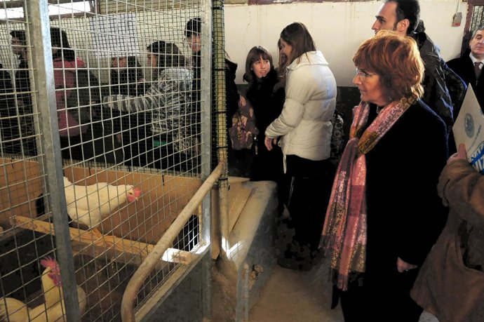 La consejera Broto ha acompañado a los alumnos en su visita a Veterinaria