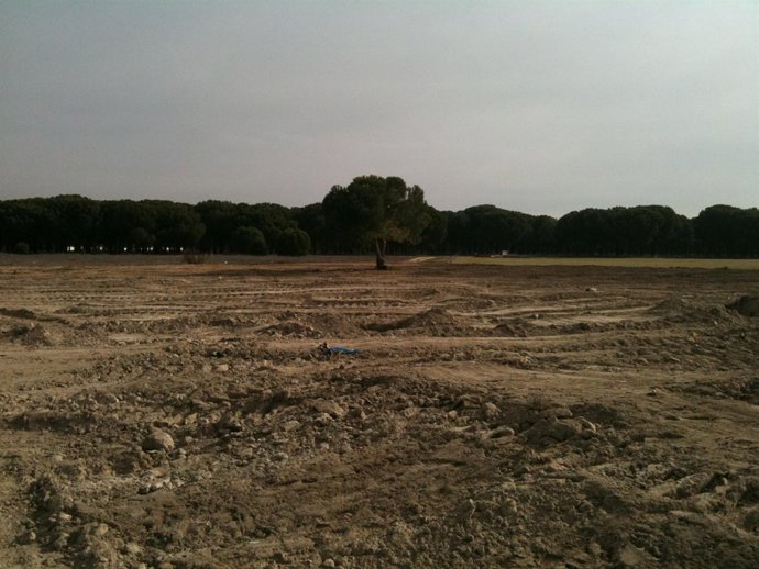 La escombrera recuperada en pedrajas (Valladolid).