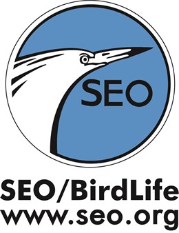 Celebra El Dia De Los Humedales Con SEO/Birdlife