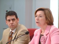 Junta dice que la situación de las Cámaras para 2011 es de "normalidad" porque la supresión del canon comienza en 2012