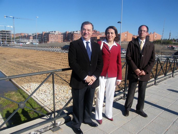 Pingarrón en Guadalajara