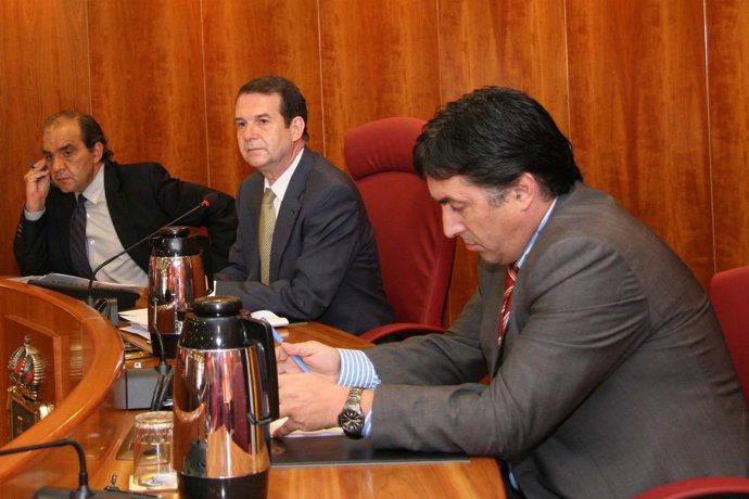Pleno del Ayuntamiento de Vigo