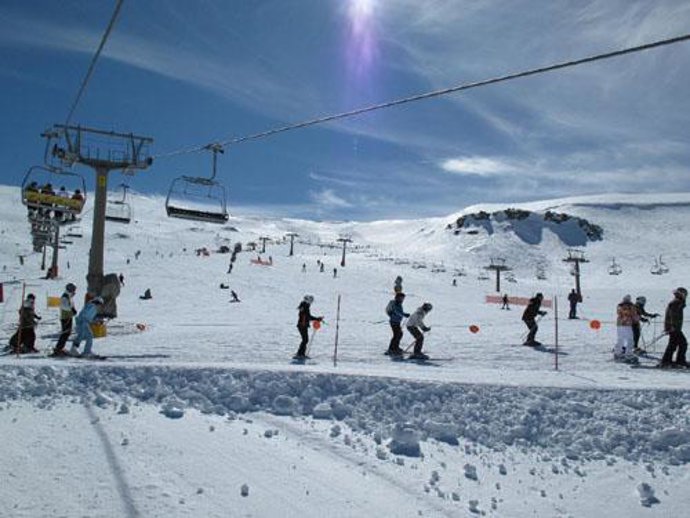 Telesilla en Sierra Nevada