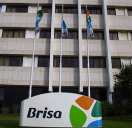 Brisa