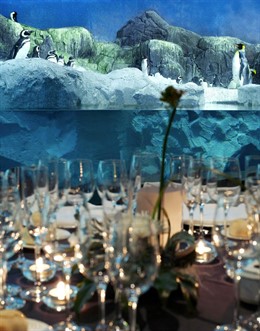 San Valentín En Faunia Y Sus Animales Enamorados