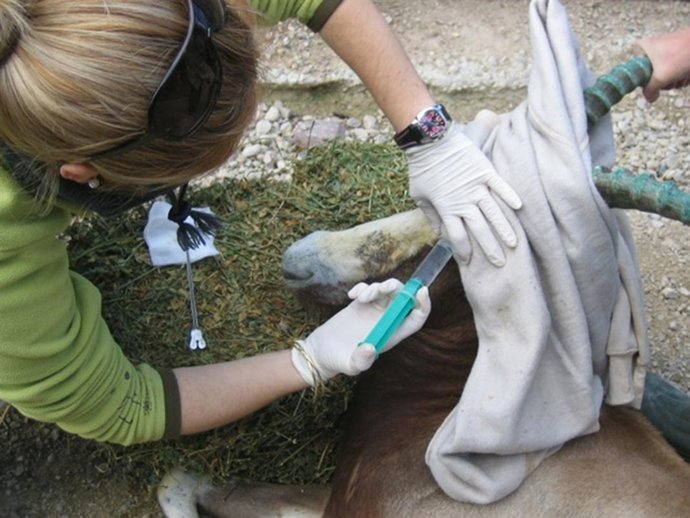 Imagen del tratamiento