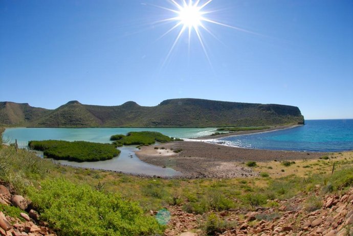 Manglares en México