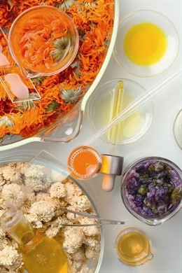 Materias primas de L'Oréal