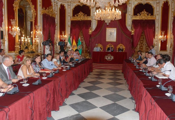 Pleno de la diputación