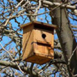 Una de las cajas-nido