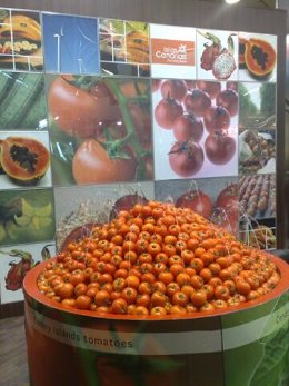 Los tomates canarios participan en la Feria de Berlín desde hace 10 años