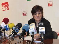 IU-Verdes critica la política "privatizadora" de los presupuestos municipales de 2011