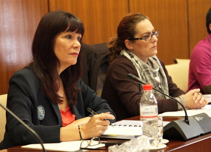 La consejera para la Igualdad, Micaela Navarro, en el Parlamento de Andalucía