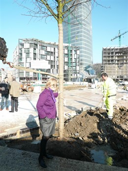 Plantación en la Plaza Euskadi