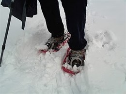 Raquetas de nieve