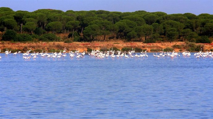 Para Marta / Marismas Del Odiel