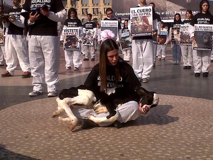 Una activista sosteniendo un ternero muerto en la protesta