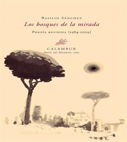 Portada del libro de Basilio Sánchez