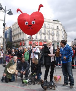 El Refugio organiza el 'Speed Dating Dog' para celebrar San Valentín