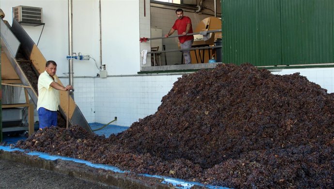 Cooperativa agrícola productora de vino