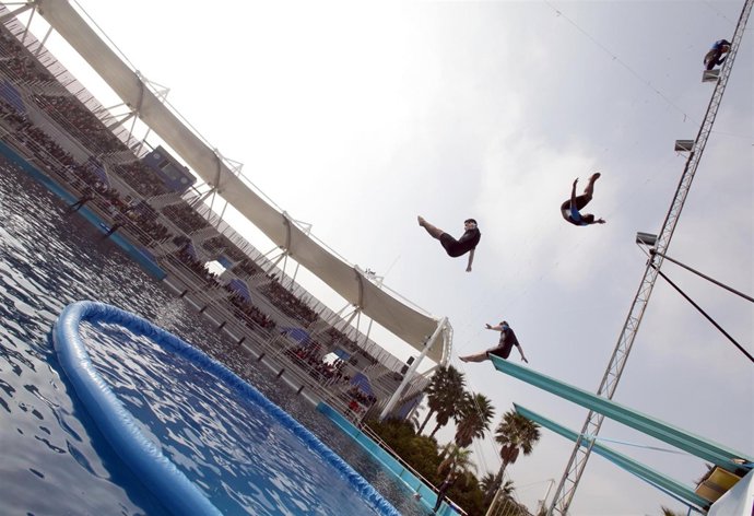 Participantes en 'Volando con delfines'