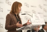 Pajín cree que es "más que evidente" que Gallardón no ha tomado las medidas necesarias para evitar contaminación