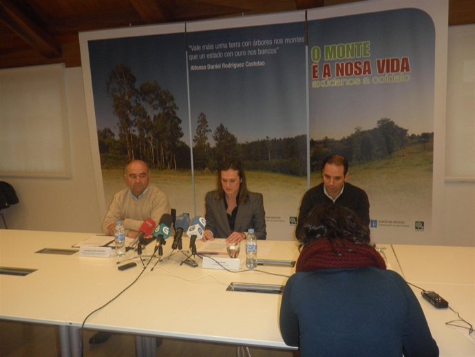 Comparecencia Industria De La Madera Por Nematodo