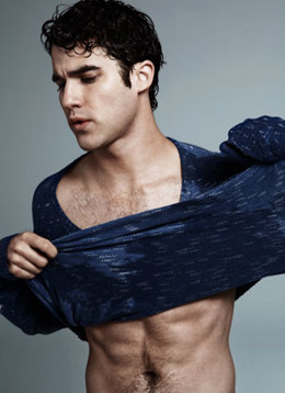 El cantante y actor Darren Criss