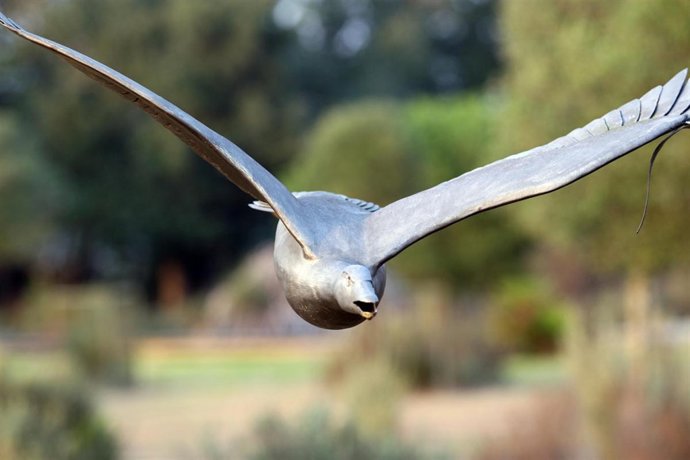 Parque Natural de Doñana
