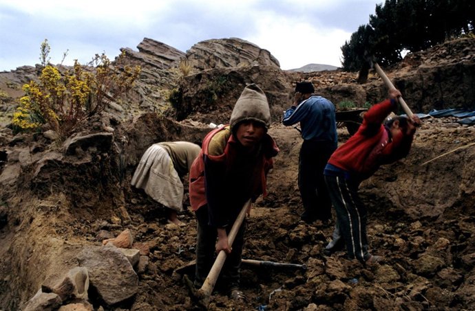 Niños ladrilleros de Perú