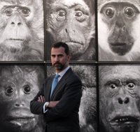 Los príncipes inauguran la 30ª edición de ARCO