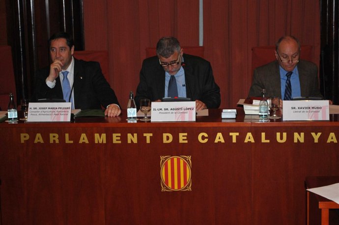 El conseller de Agricultura, Josep Maria Pelegrí