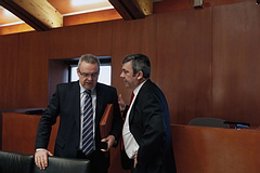 El consejero Alfredo Boné habla con el diputado Javier Gamón, en las Cortes