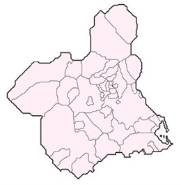 Los municipios de la Región de Murcia en la Red