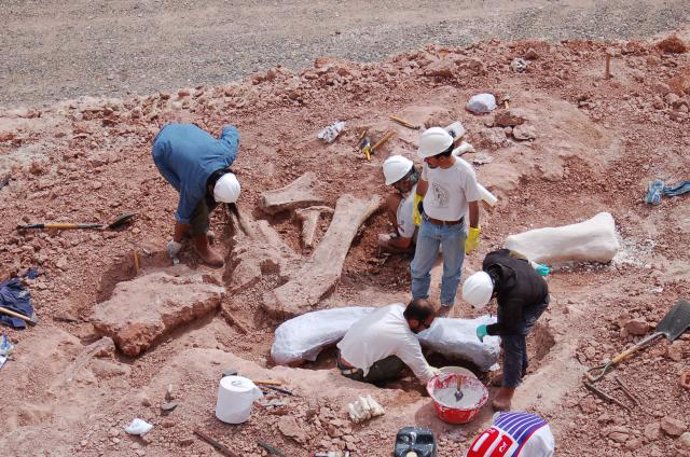 Excavación en la Patagonia donde se encontró el dinosaurio