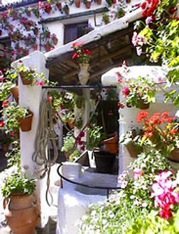 Patio cordobés.
