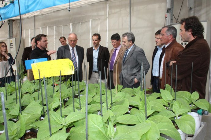 Visita a la empresa Koppert en Águilas