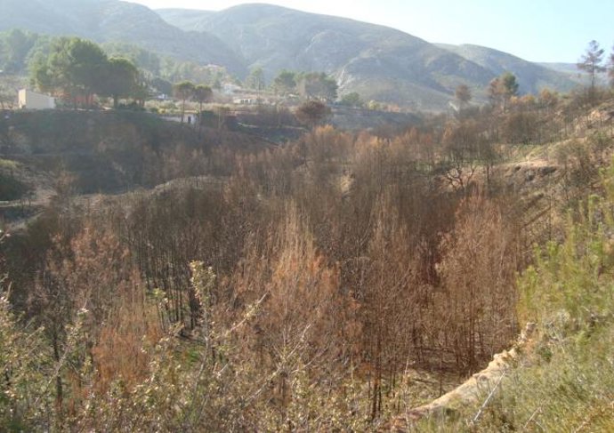 NP Ontinyent Incendio