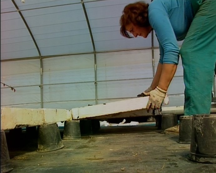 Agricultores extremeños esperan una solución en Carcesa