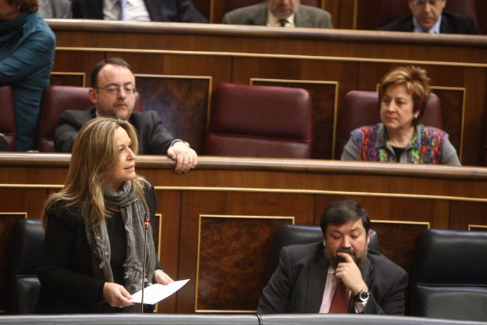 Trinidad Jiménez en el pleno del Congreso