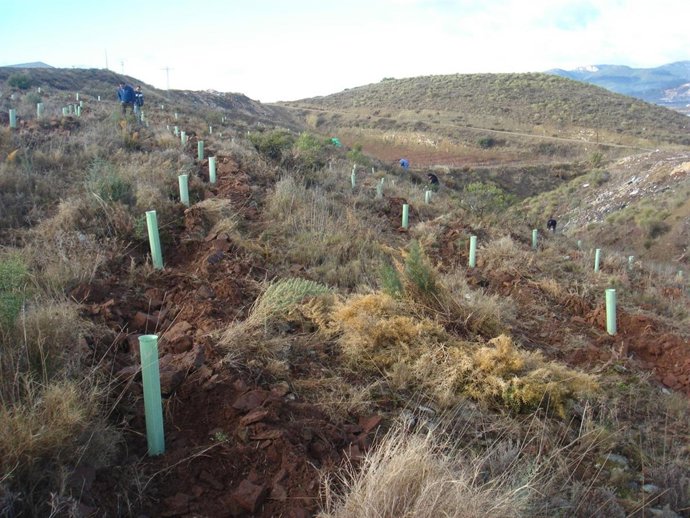 Imagen del lugar de la actuación